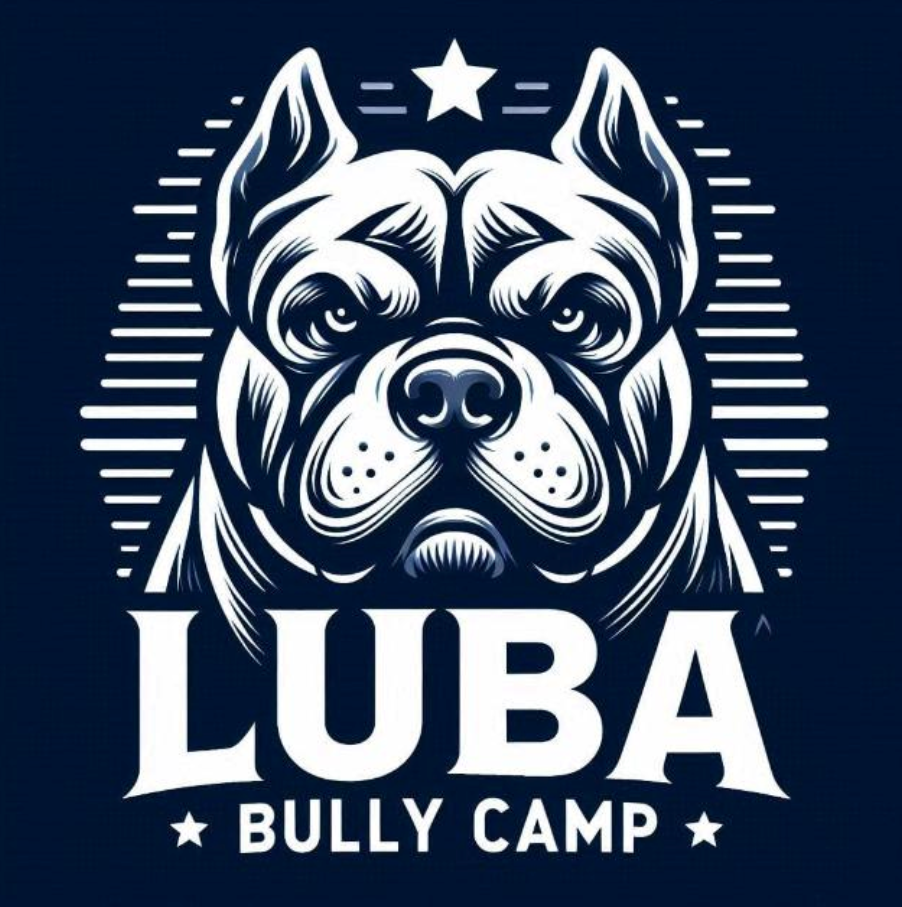 Luba Bully Camp